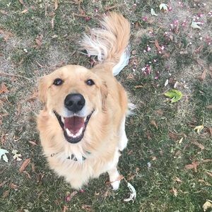 Meet your Posher, Lolo